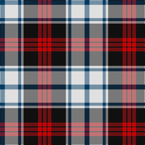 DB/16 LN44 DB10 LN8 K48 R12 K4 R/12 tartan Tartan detail