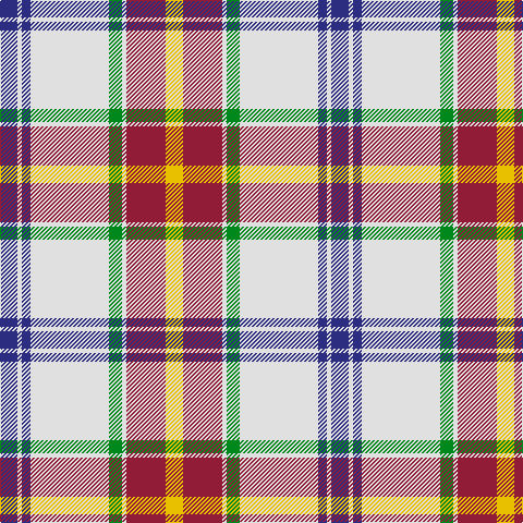 DB/16 LN4 DB8 LN72 G12 LN4 DR36 Y/16 tartan Tartan detail