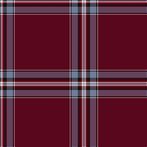 B/4 W4 DRa4 K10 B20 K4 W2 DR/180 tartan Tartan detail