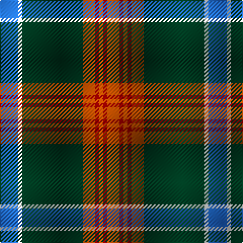 B/18 LN4 DG60 DO12 DR4 DO4 DR4 DO/12 tartan Tartan detail