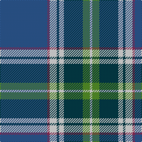 B/80 DR4 LN12 G4 LN8 G32 LG12 LN/4 tartan Tartan detail