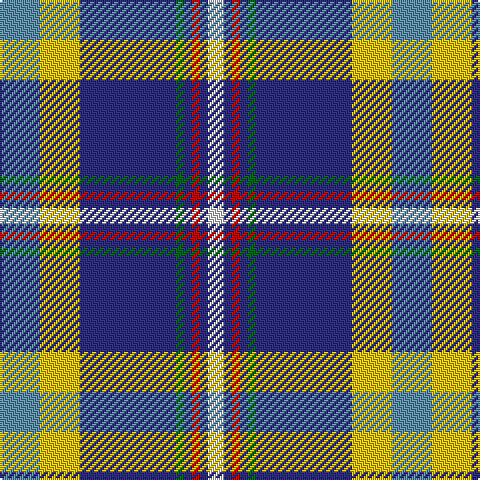B/20 Y20 DB48 G4 DB4 R4 DB4 LN/8 tartan Tartan detail