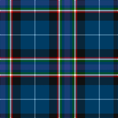 B/22 DB10 G8 W6 R6 K32 DB56 LB/4 tartan Tartan detail