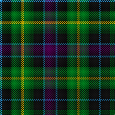B/4 K20 G20 Y6 G20 K20 B4 DP/22 tartan Tartan detail