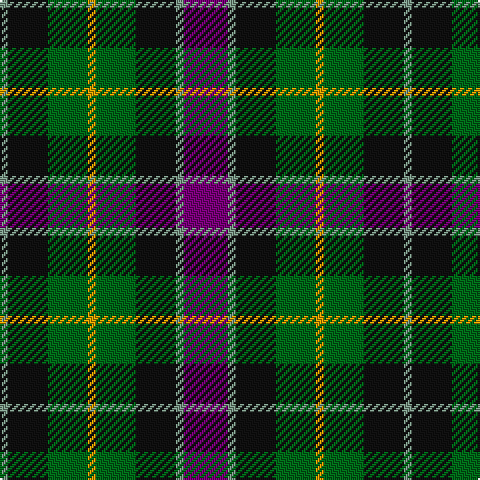 LG/4 K20 G20 DY4 G20 K20 LG4 P/22 tartan Tartan detail
