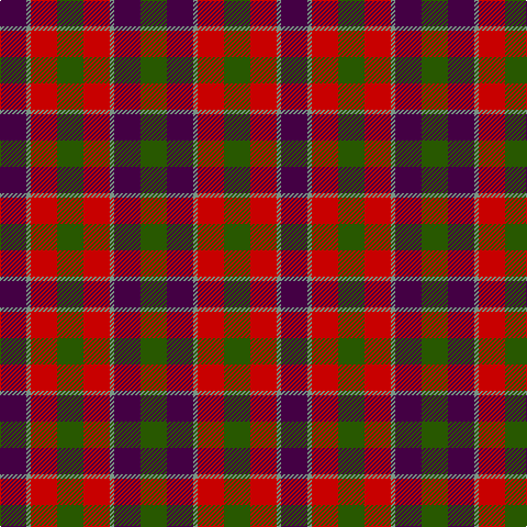 DP/24 LG4 Ra24 G24 Ra24 LG4 DP24 G/24 tartan Tartan detail