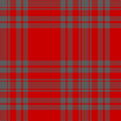 N/28 R4 N8 R24 N20 R8 N20 R/128 tartan Tartan detail