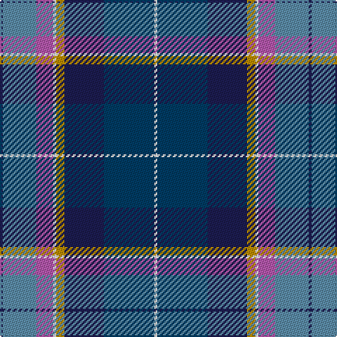 DBa/2 B24 P12 W2 DY6 DBa28 DB36 W/2 tartan Tartan detail