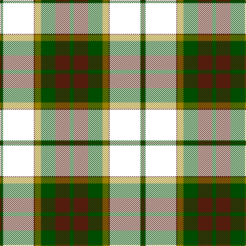 DR/2 G4 W60 DR2 LG12 G28 DR28 G/8 tartan Tartan detail