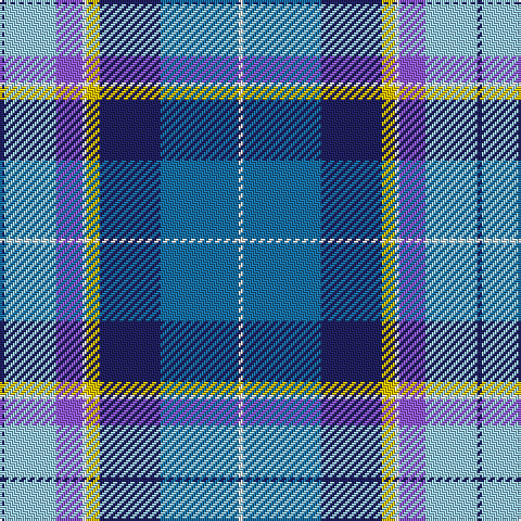 DB/2 LB24 P12 W2 Y6 DB28 B36 W/2 tartan Tartan detail