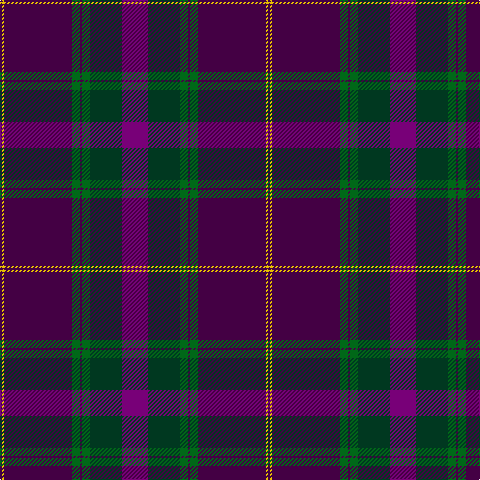 DP/2 Y2 DP68 G8 DP2 G8 DG32 P/26 tartan Tartan detail