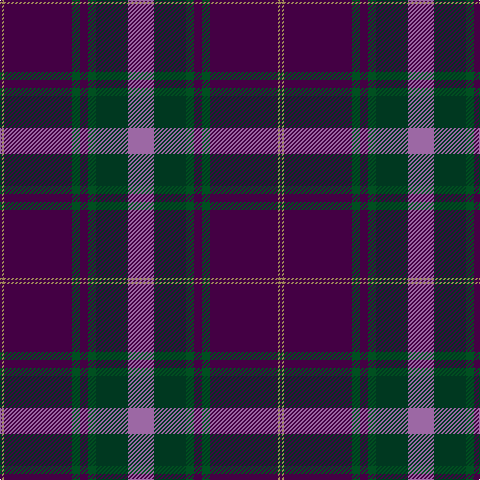 DP/2 LT2 DP68 G8 DP8 G8 DG32 LP/26 tartan Tartan detail