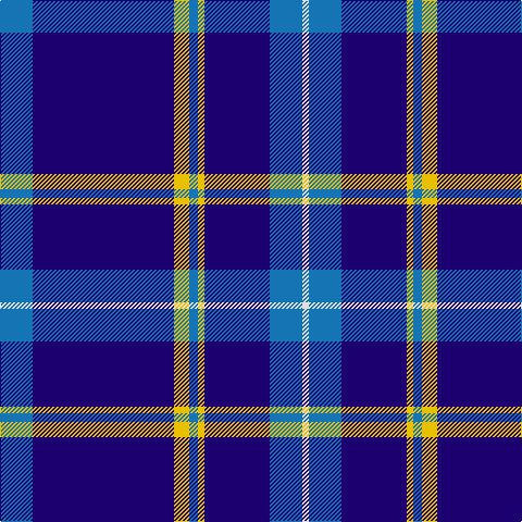B/30 DB130 Y14 B8 Y6 DB60 B30 LN/6 tartan Tartan detail