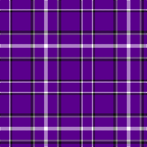 P/30 W4 K6 P60 K8 N6 P30 W/12 tartan Tartan detail