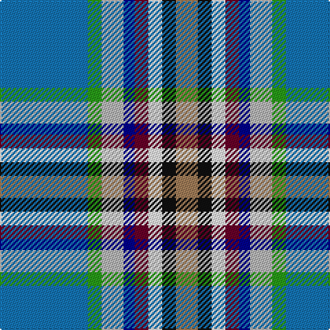 B/64 G10 N16 DB8 DR10 W10 K10 LT/16 tartan Tartan detail