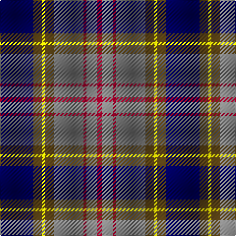 DB/34 T9 Y3 T9 N30 DR3 N11 DR/5 tartan Tartan detail