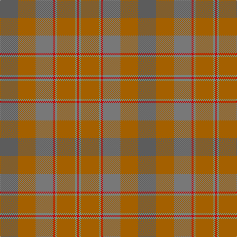 N/36 DO36 Na36 R4 LG4 DO36 LG4 R/4 tartan Tartan detail