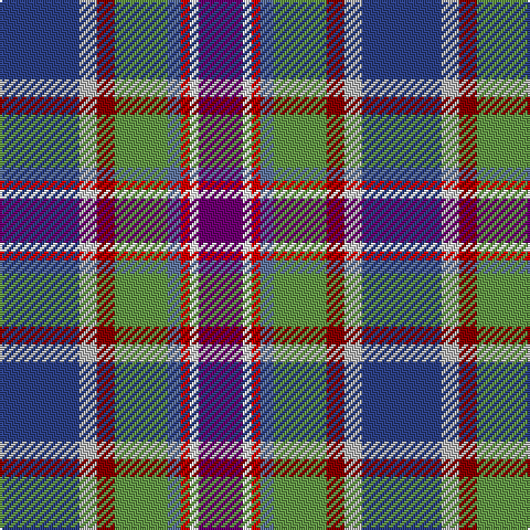 B/36 N8 DR8 LG24 Ba6 R4 W4 P/20 tartan Tartan detail
