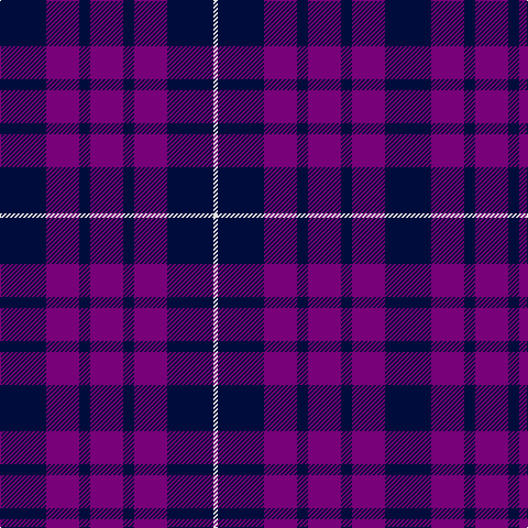 DBa/42 P30 DBa10 P30 DBa10 P30 DBa42 LN/4 tartan Tartan detail