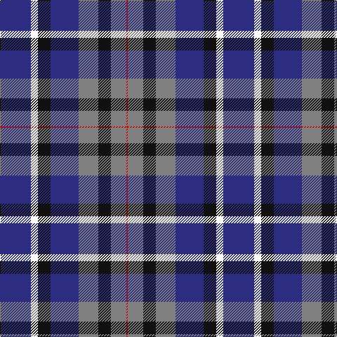 DB/44 W10 K18 DB40 N28 K18 N22 R/2 tartan Tartan detail