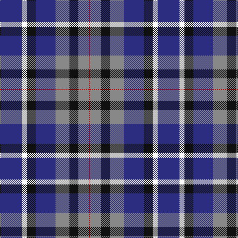 DB/44 W10 K18 DB40 N28 K18 N22 R/2 tartan Tartan detail