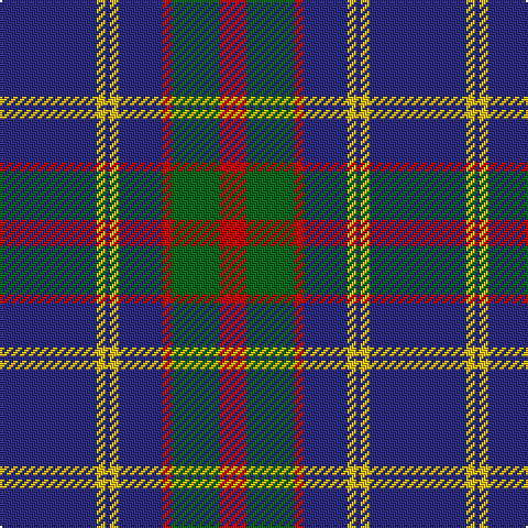DB/44 Y4 DB2 Y4 DB20 R4 G22 R/12 tartan Tartan detail
