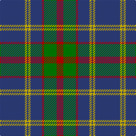 B/44 Y4 B2 Y4 B20 R4 G22 R/12 tartan Tartan detail
