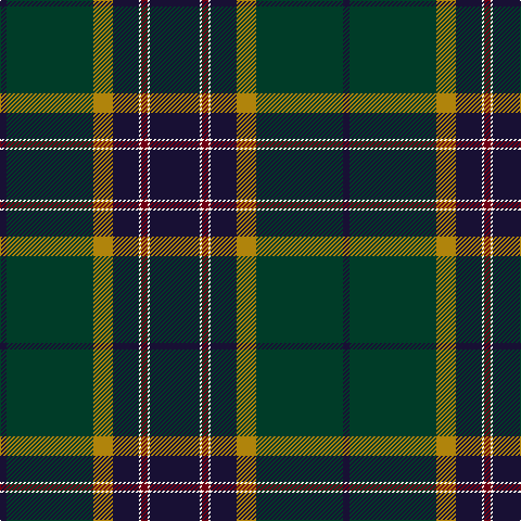 DB/6 DG80 DY18 DBa24 W2 DR6 W2 DBa/46 tartan Tartan detail