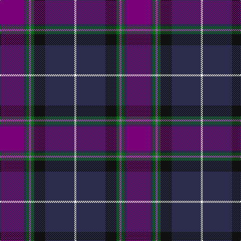 P/48 DB4 G6 LP4 G6 K22 DB58 W/4 tartan Tartan detail