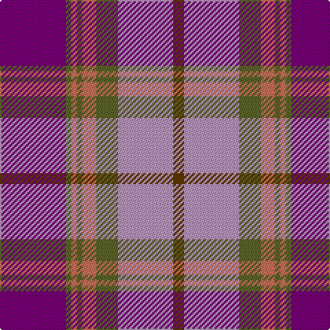 P/48 G4 DO4 G4 DO10 G16 LP40 T/8 tartan Tartan detail