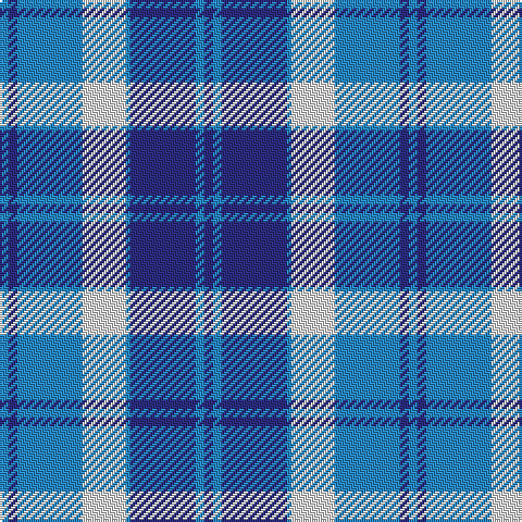 B/4 DB4 B30 LN20 B2 DB30 B4 DB/4 tartan Tartan detail