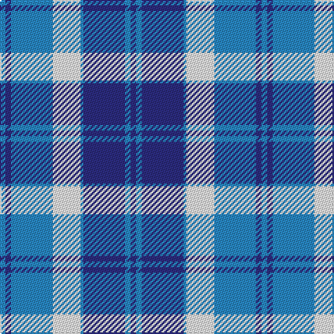 B/4 DB4 B30 W20 B2 DB30 B4 DB/4 tartan Tartan detail