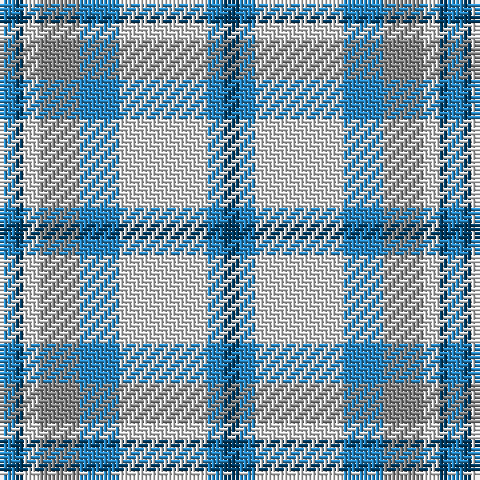 B/4 DB2 LN4 N10 B10 LN22 B4 DB/4 tartan Tartan detail