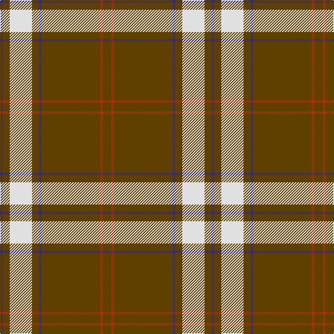 DB/4 T10 LN32 T10 DB4 T84 R4 T/12 tartan Tartan detail