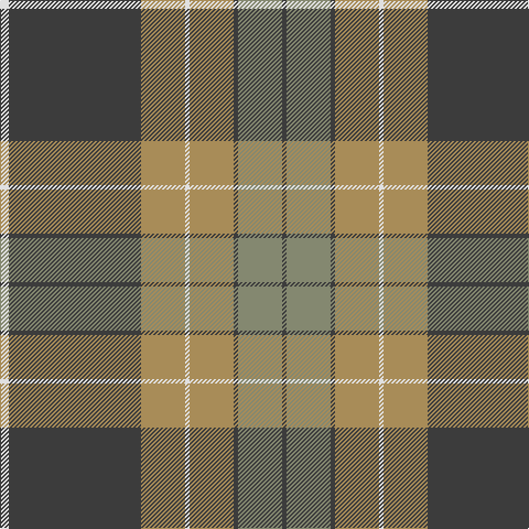 LN/8 N120 LT40 LN4 LT40 N4 Na40 N/4 tartan Tartan detail