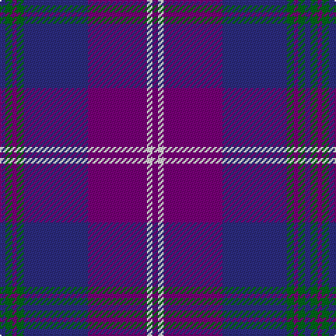 DB/4 G5 P3 G5 DB46 P42 LN4 P/4 tartan Tartan detail