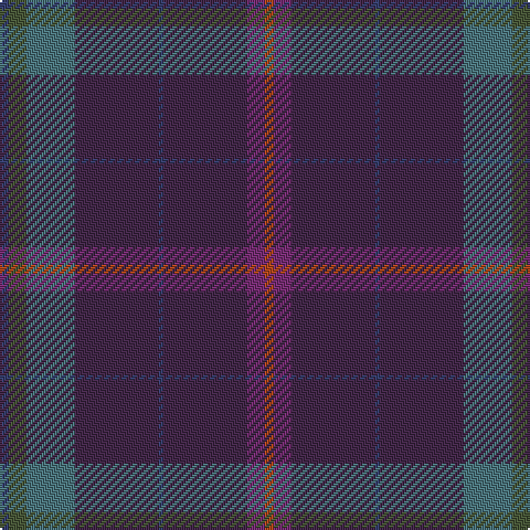 B/4 N8 G22 DP38 B2 DP38 P8 T/4 tartan Tartan detail