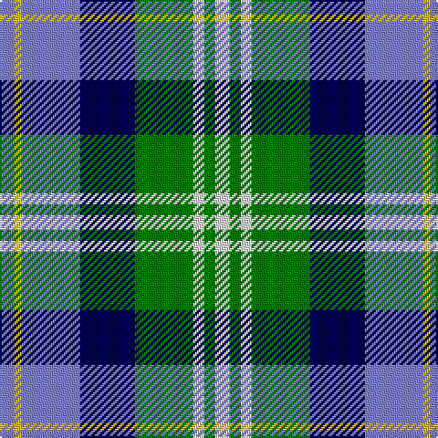 B/8 Y4 B32 DB30 G32 LN6 G6 LN/8 tartan Tartan detail