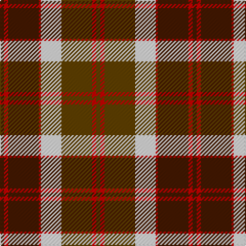 DR/4 R4 DR30 R2 LN20 T30 R4 T/4 tartan Tartan detail