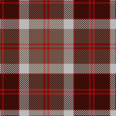 DR/4 R4 DR30 R2 LN20 LT30 R4 LT/4 tartan Tartan detail