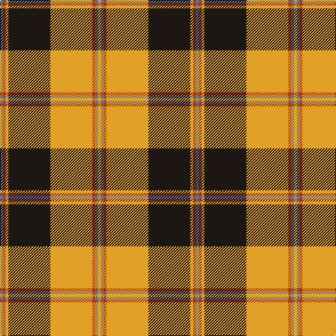 B/4 R4 Y4 K60 Y60 R4 B4 Y/4 tartan Tartan detail