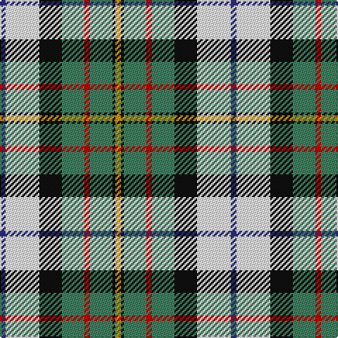 DB/4 W24 K16 G16 R4 G16 K2 DY/4 tartan Tartan detail