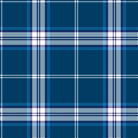 DBa/4 W4 DBa86 B10 DB8 YY16 DB4 W/4 tartan Tartan detail
