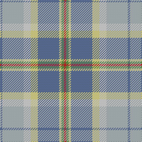 B/4 N36 LN12 LY12 B36 LY4 LG4 R/4 tartan Tartan detail