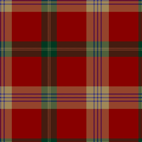 DB/4 LT8 DB4 LT24 DR100 DG22 LT2 DG/4 tartan Tartan detail