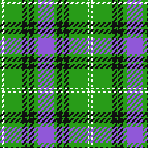 G/6 W6 G60 K16 G6 K16 G12 P/52 tartan Tartan detail