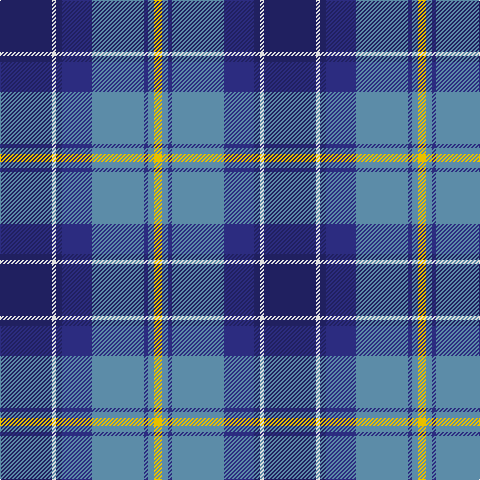 DBa/52 LN4 DBa6 DB30 B52 DB4 B6 Y/8 tartan Tartan detail