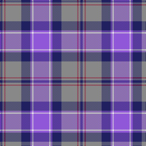 DB/8 N6 DR4 N52 DB30 P6 W4 P/52 tartan Tartan detail
