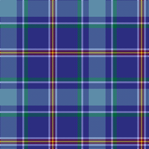 B/54 DB18 LP6 G12 DB66 LP6 DR6 Y/4 tartan Tartan detail