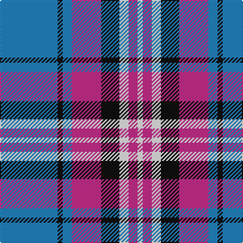 B/57 K5 B9 P29 K18 W9 P9 W/5 tartan Tartan detail